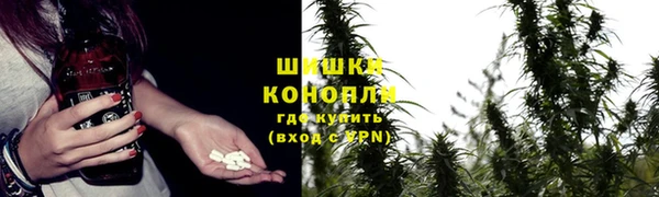 спайс Беломорск