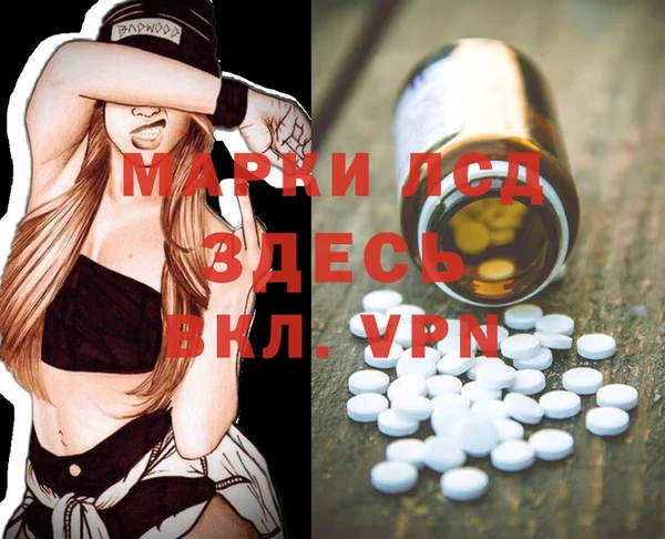 шишки Белоозёрский