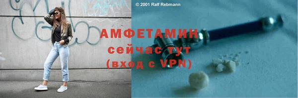 шишки Белоозёрский