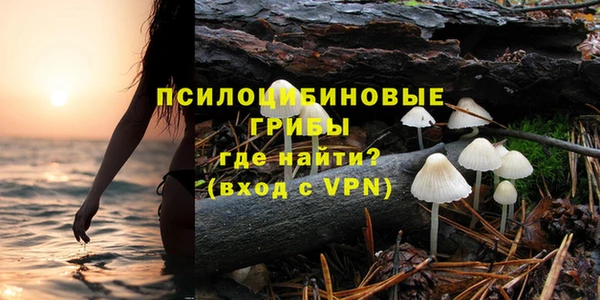 каннабис Богданович