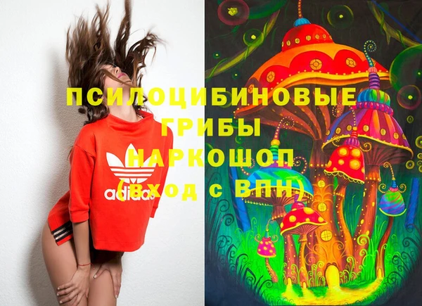 шишки Белоозёрский